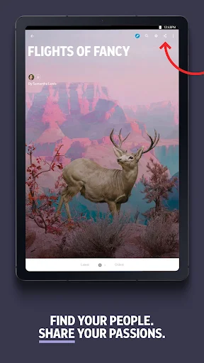 Download Flipboard Terbaru – Baca Berita & Artikel Terkini Gratis - Screenshot 15